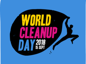 World cleanup day 2018