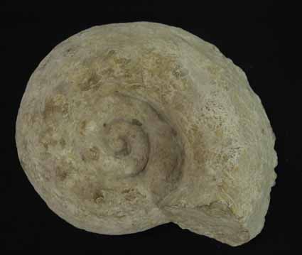 Archéologie