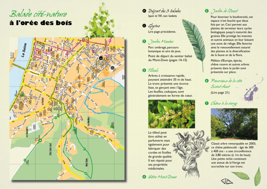Orée des bois
