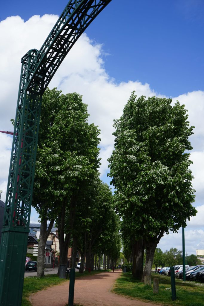 Champ de foire