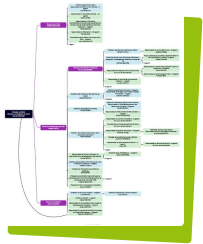 Prévisualisation de l'organigramme