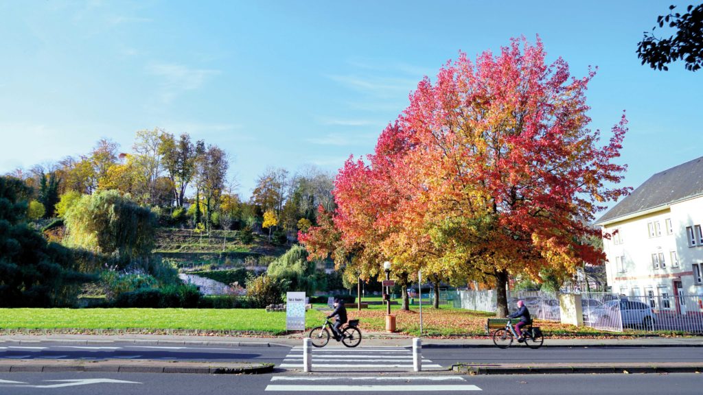 Arbres Jardin Youinou