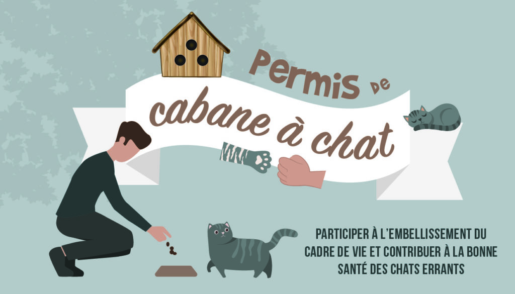Permis de cabane à chat